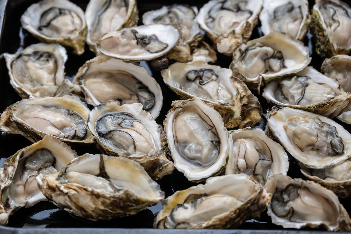 Deadly cases of flesh-eating bacteria linked to raw shellfish and seawater exposure in New York and Connecticut 
